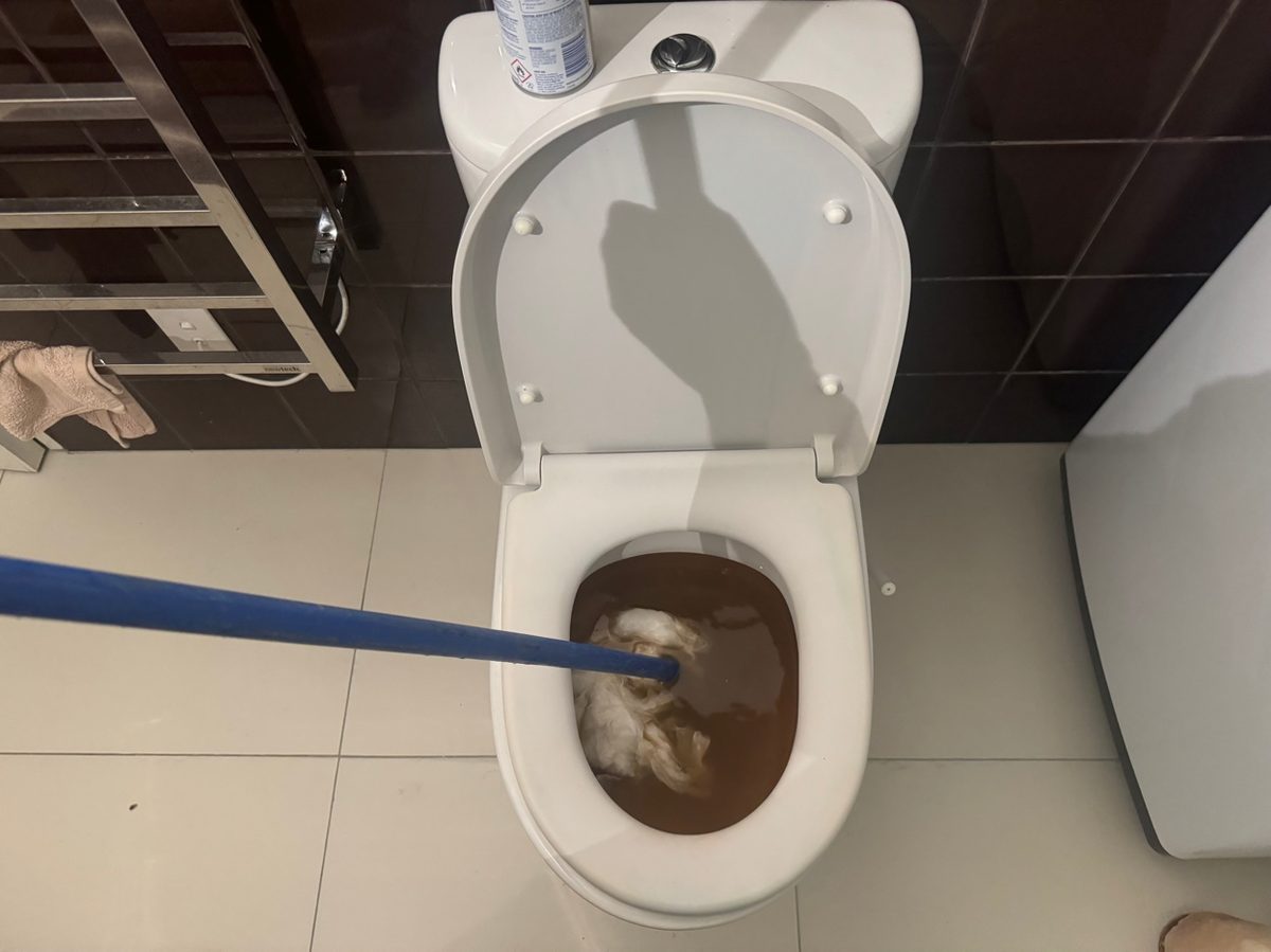 Blocked toilet repair